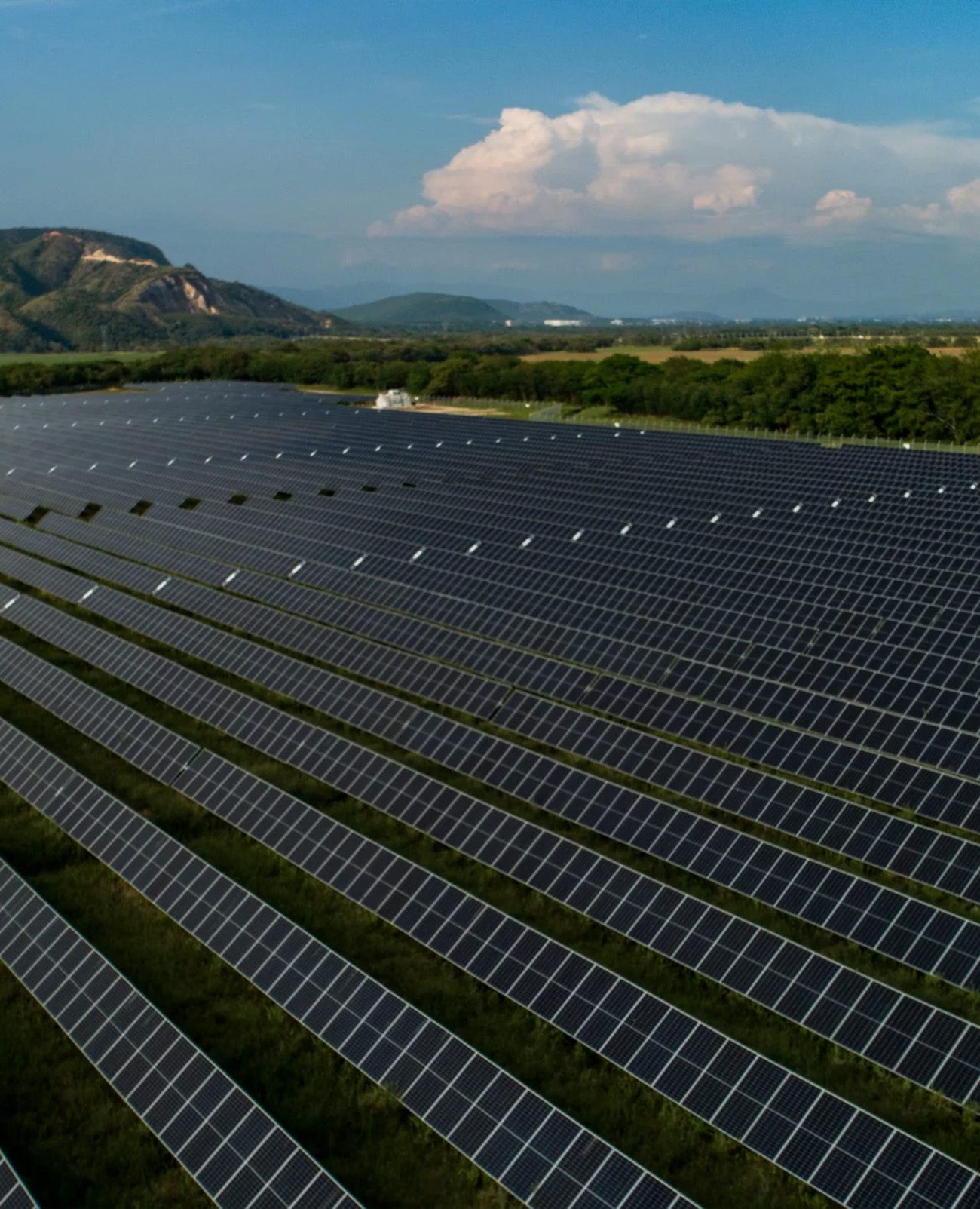 Granja Solar Celsia - Yuma